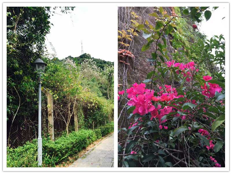 4月環(huán)保宣傳活動